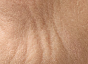 [Copy]Example Collection 