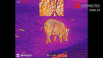 Product details image