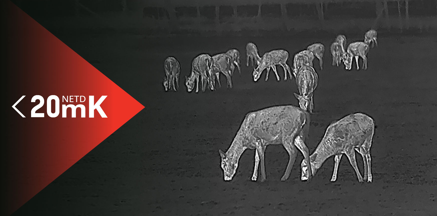 Product details image