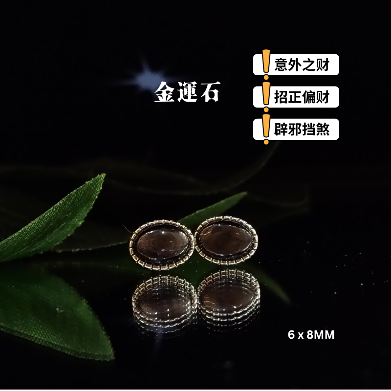 Hypersthene Oval Earring