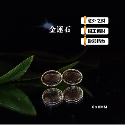 Hypersthene Oval Earring