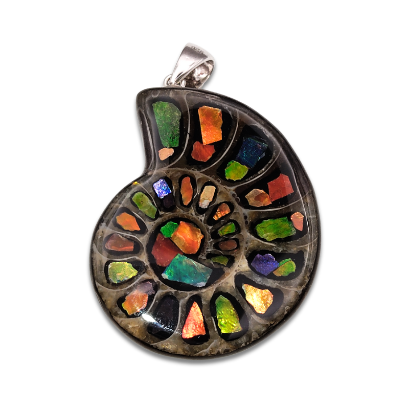 Canada Ammolite Shell Shape Stitching Pendant