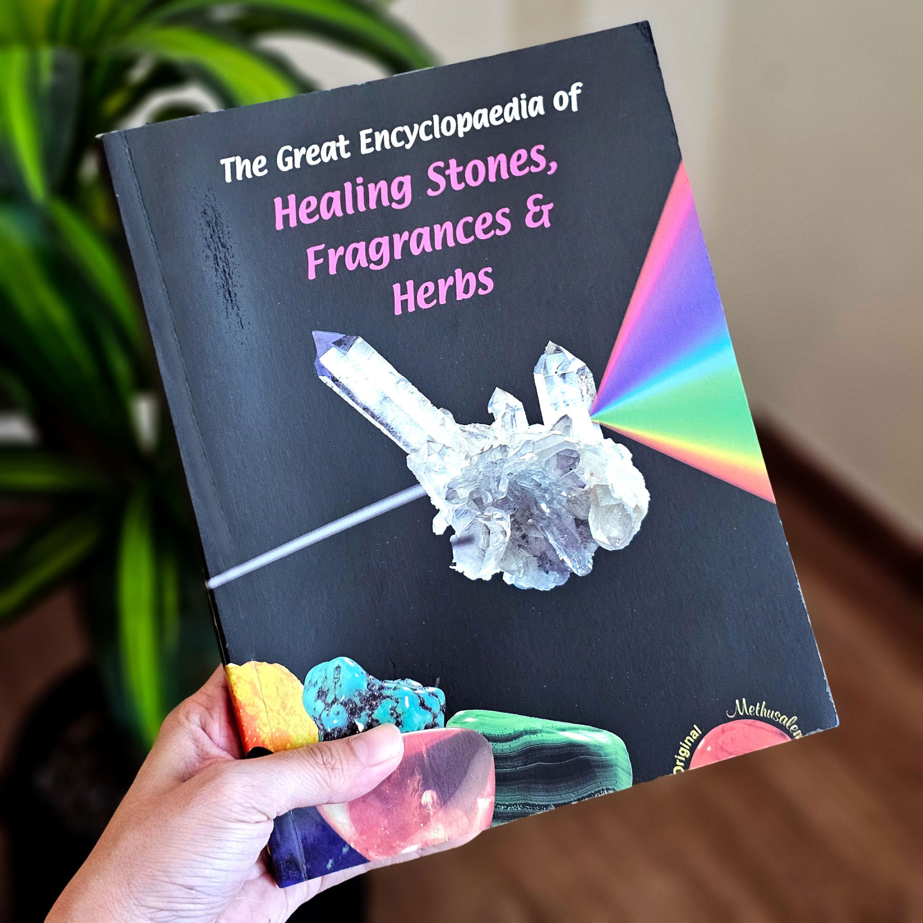 25 May - English Book