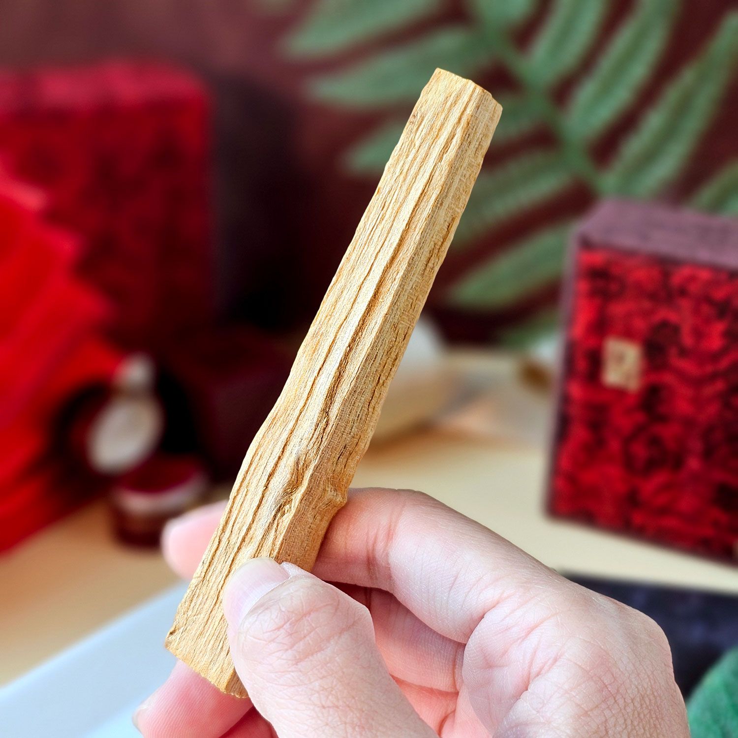 10 Mar - Wood Stick [BUY 1 FREE 1 ]