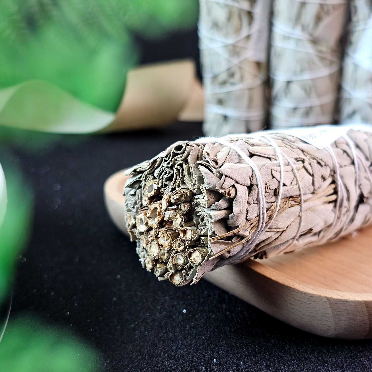 22 Jan - Sage 鼠尾草