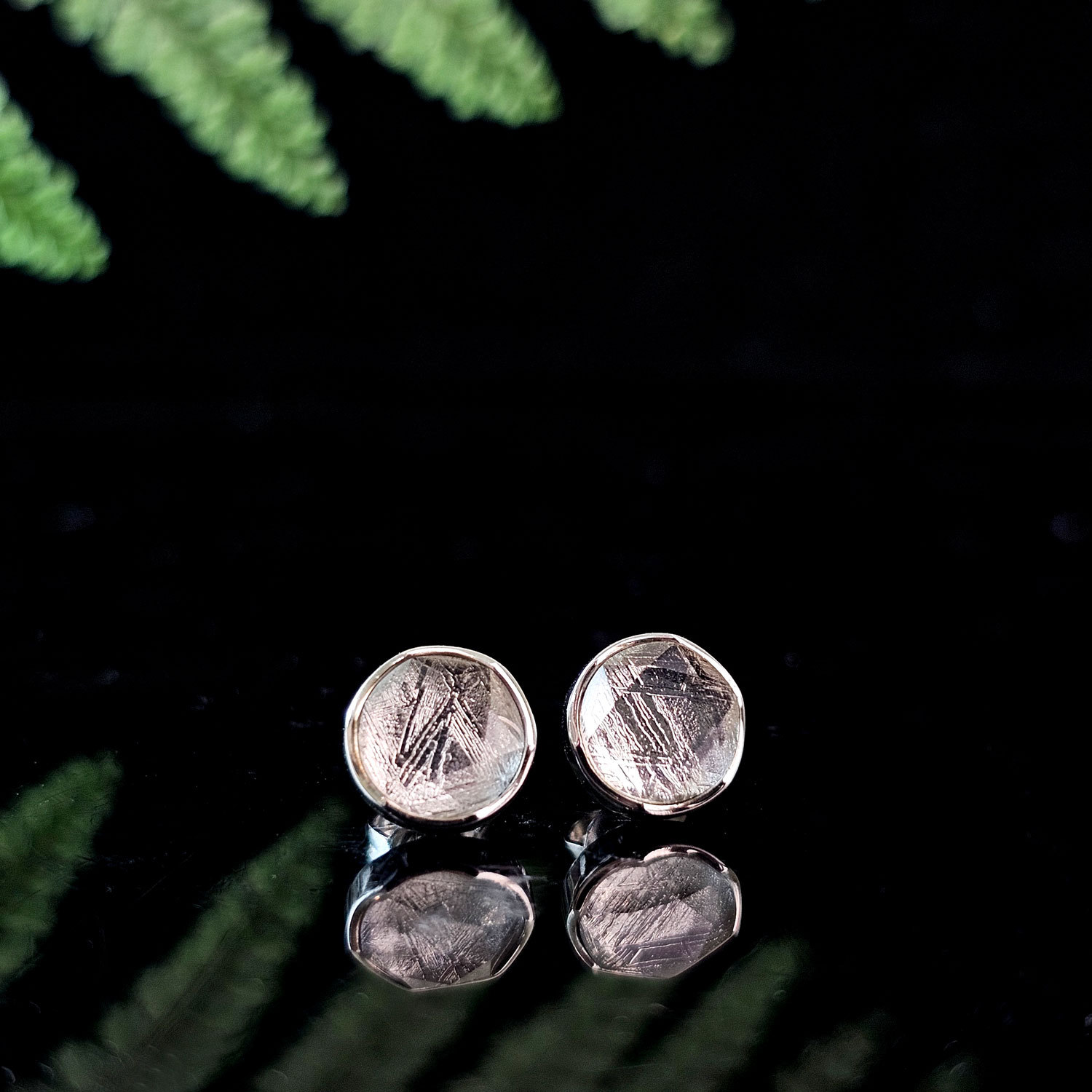 Meteorite Earrings