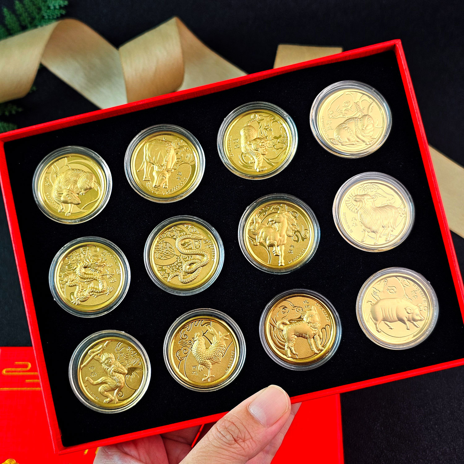 Gold Coin Set