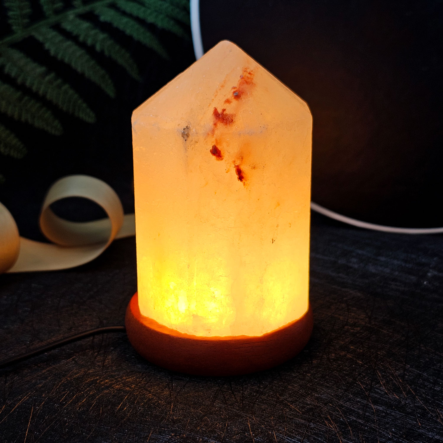 26 Jan - Himalayan Salt Lamp Octagon Point