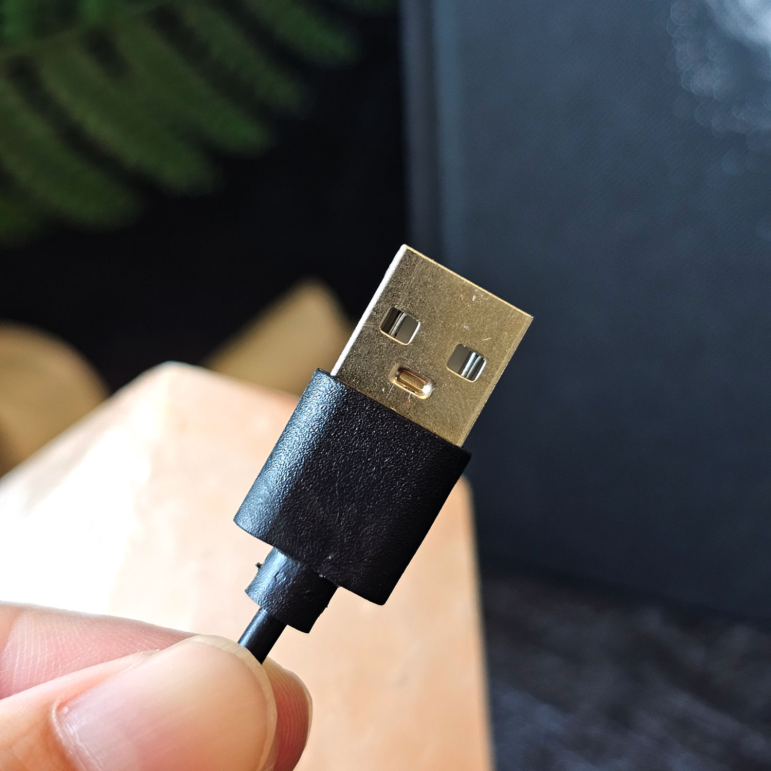 26 Jan - Himalayan Salt Lamp Octagon Point