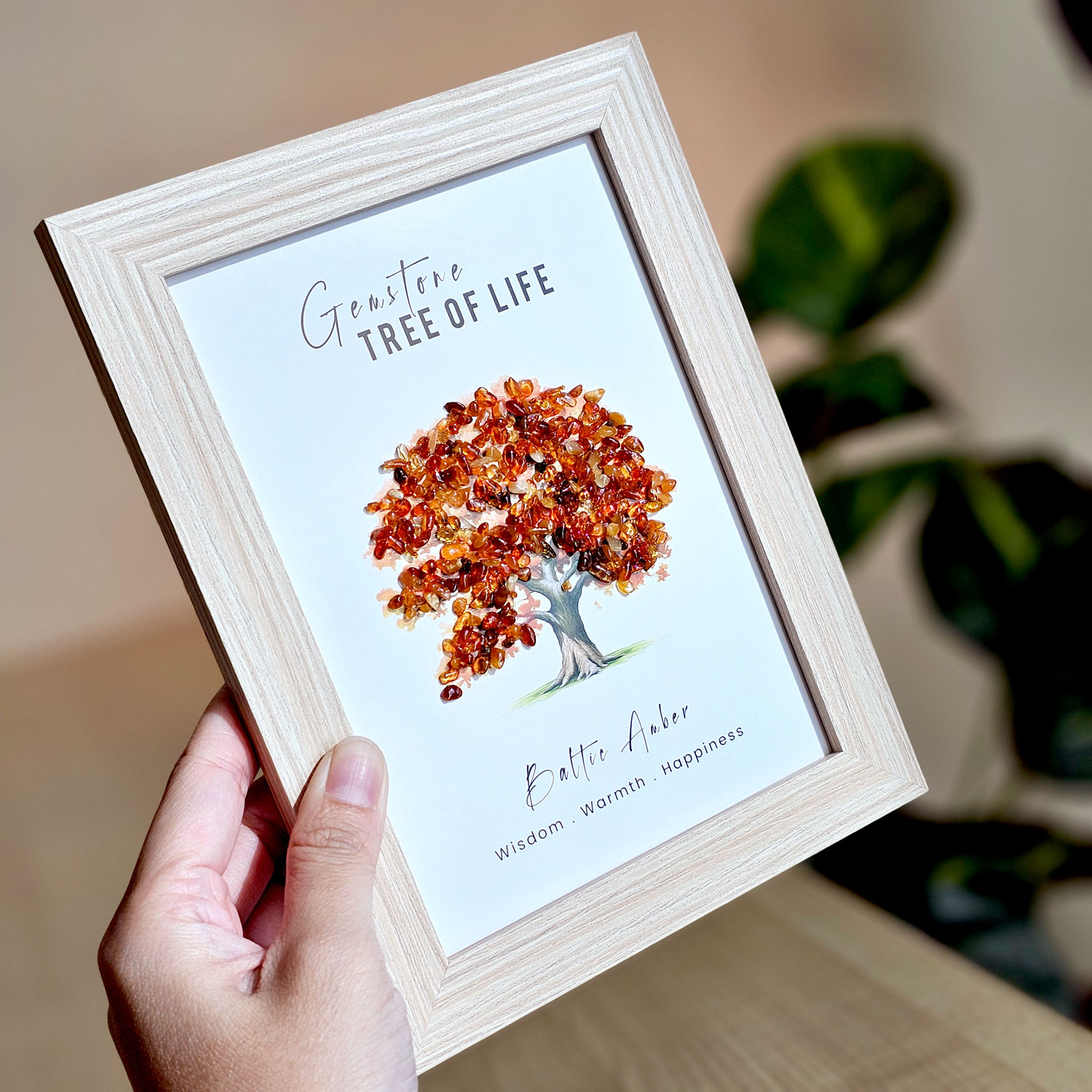 30 Jan - Amber Frame