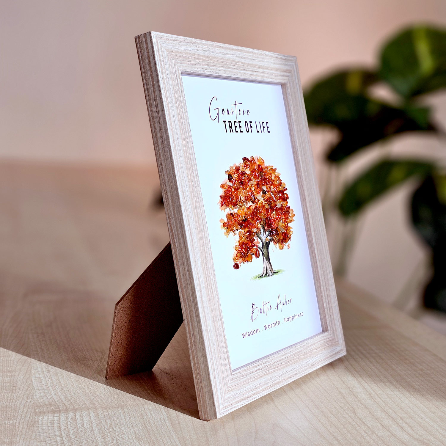 30 Jan - Amber Frame