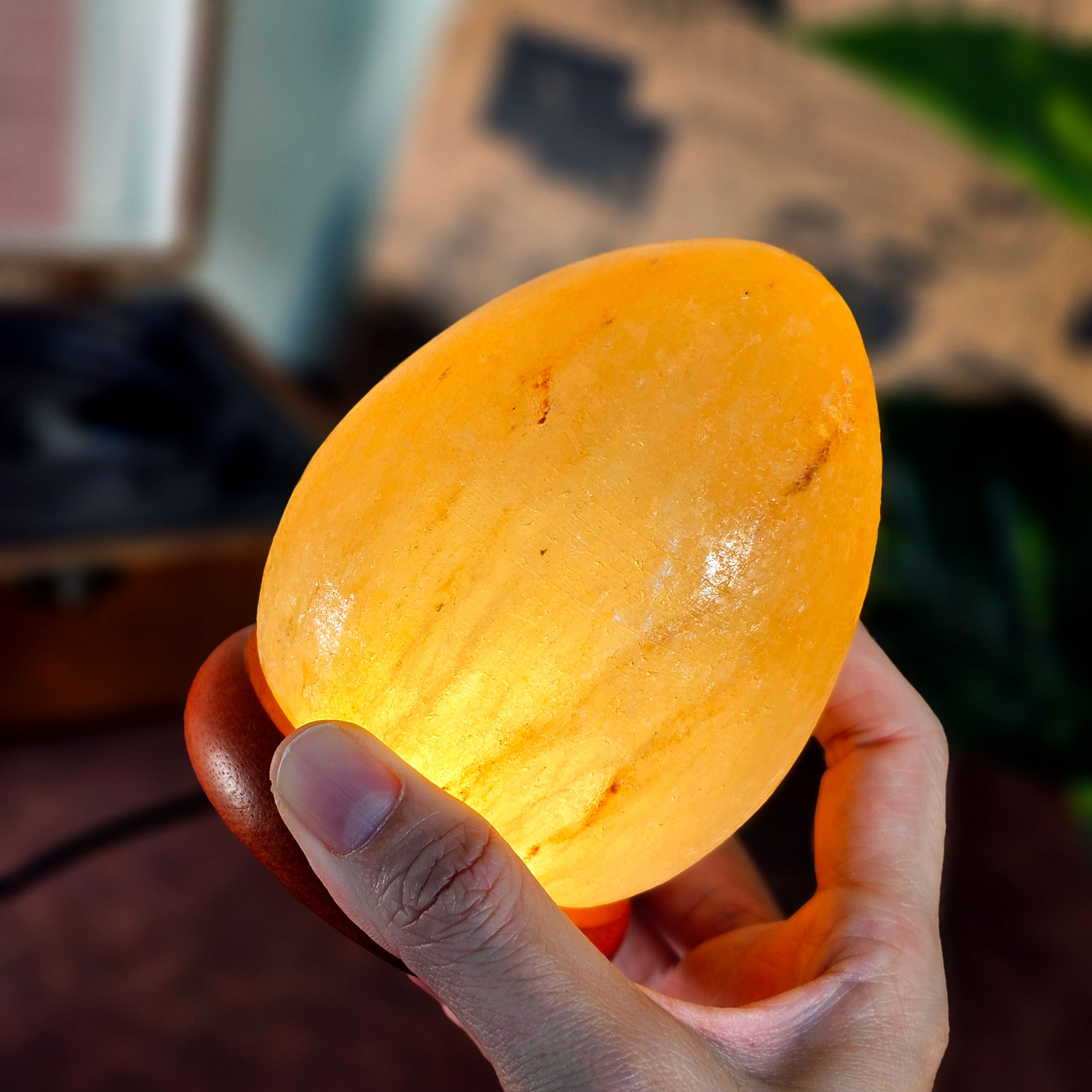 10 Feb - Salt Lamp Egg Shape