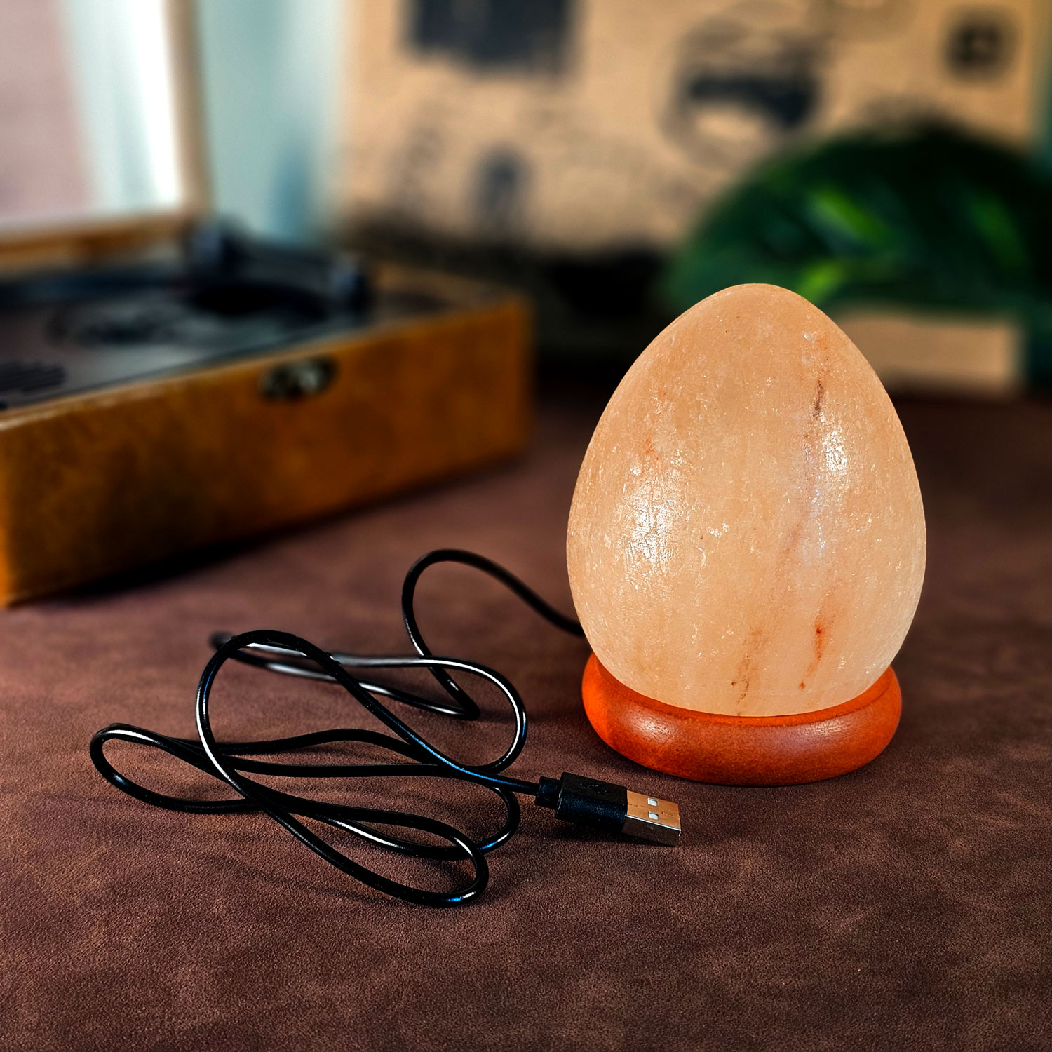 10 Feb - Salt Lamp Egg Shape