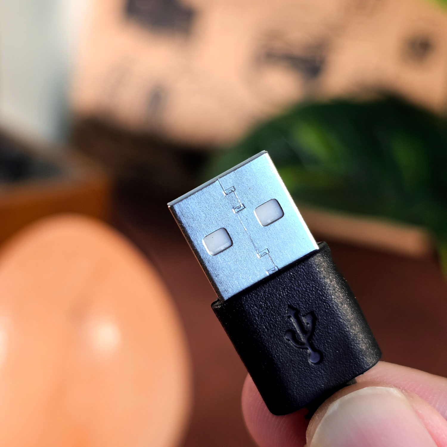 10 Feb - Salt Lamp Egg Shape