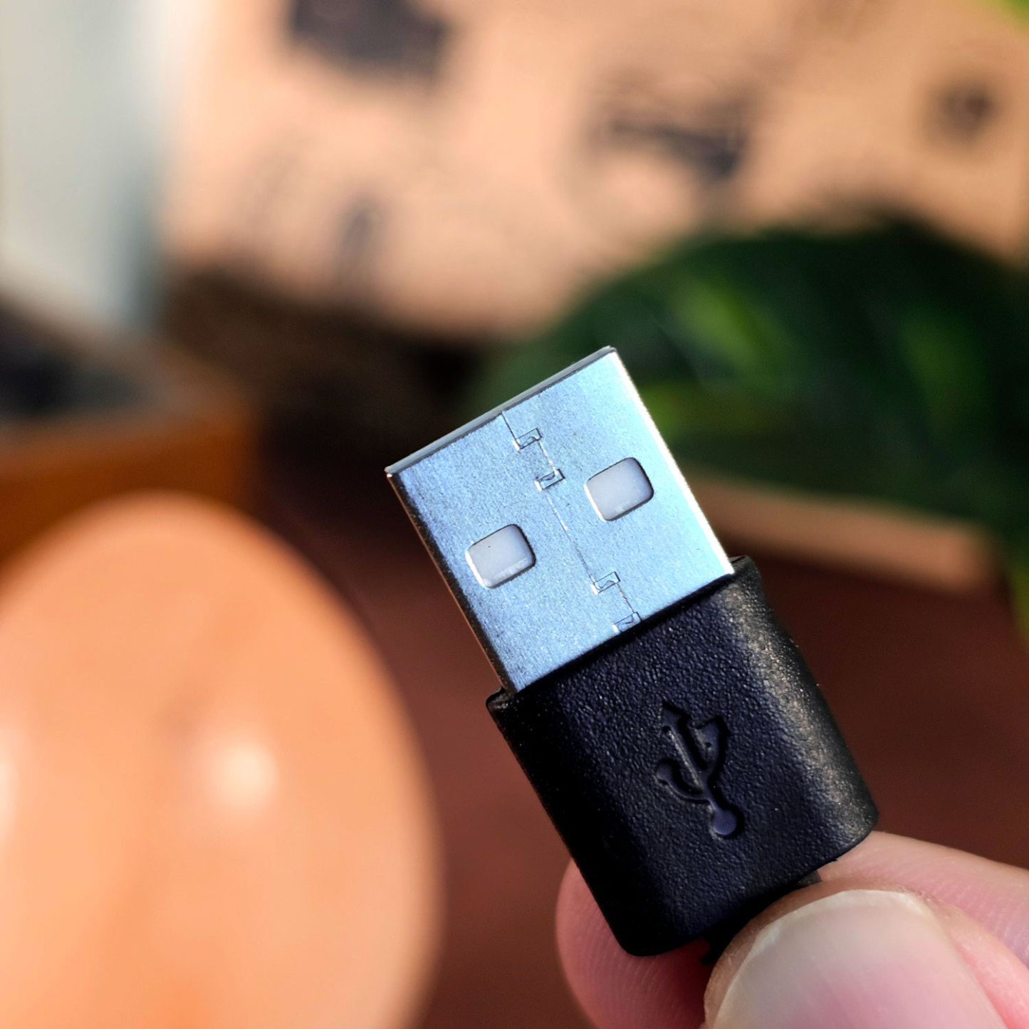 10 Feb - Salt Lamp Egg Shape