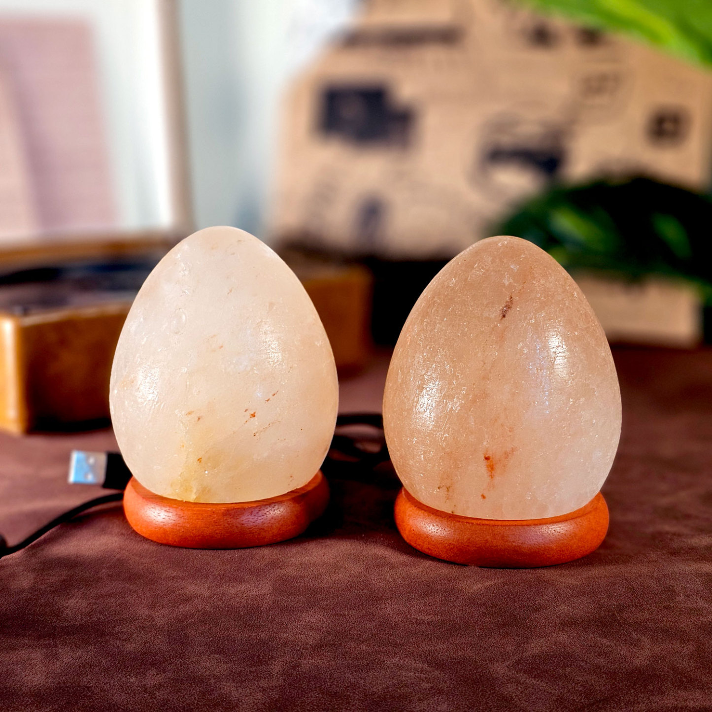 10 Feb - Salt Lamp Egg Shape