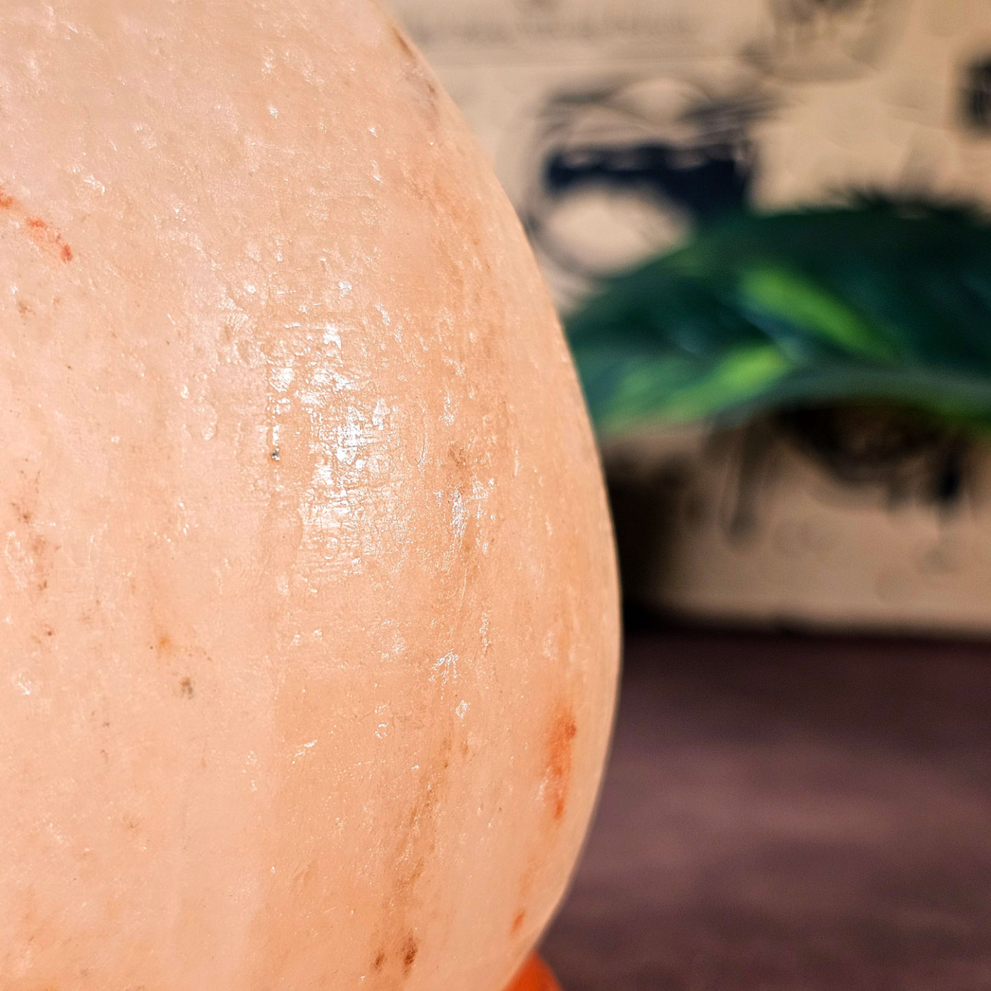10 Feb - Salt Lamp Egg Shape