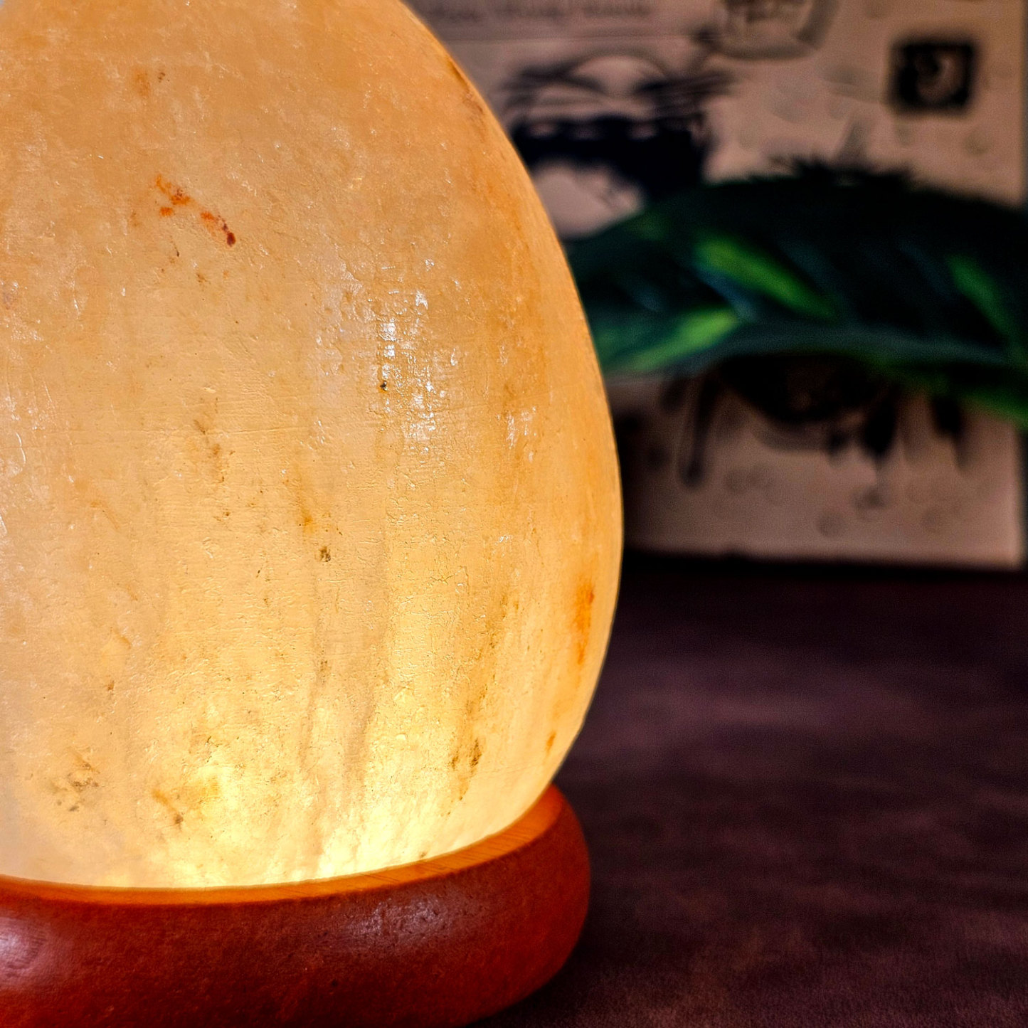 10 Feb - Salt Lamp Egg Shape