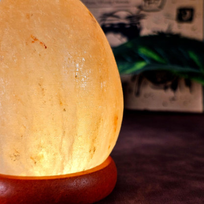 10 Feb - Salt Lamp Egg Shape