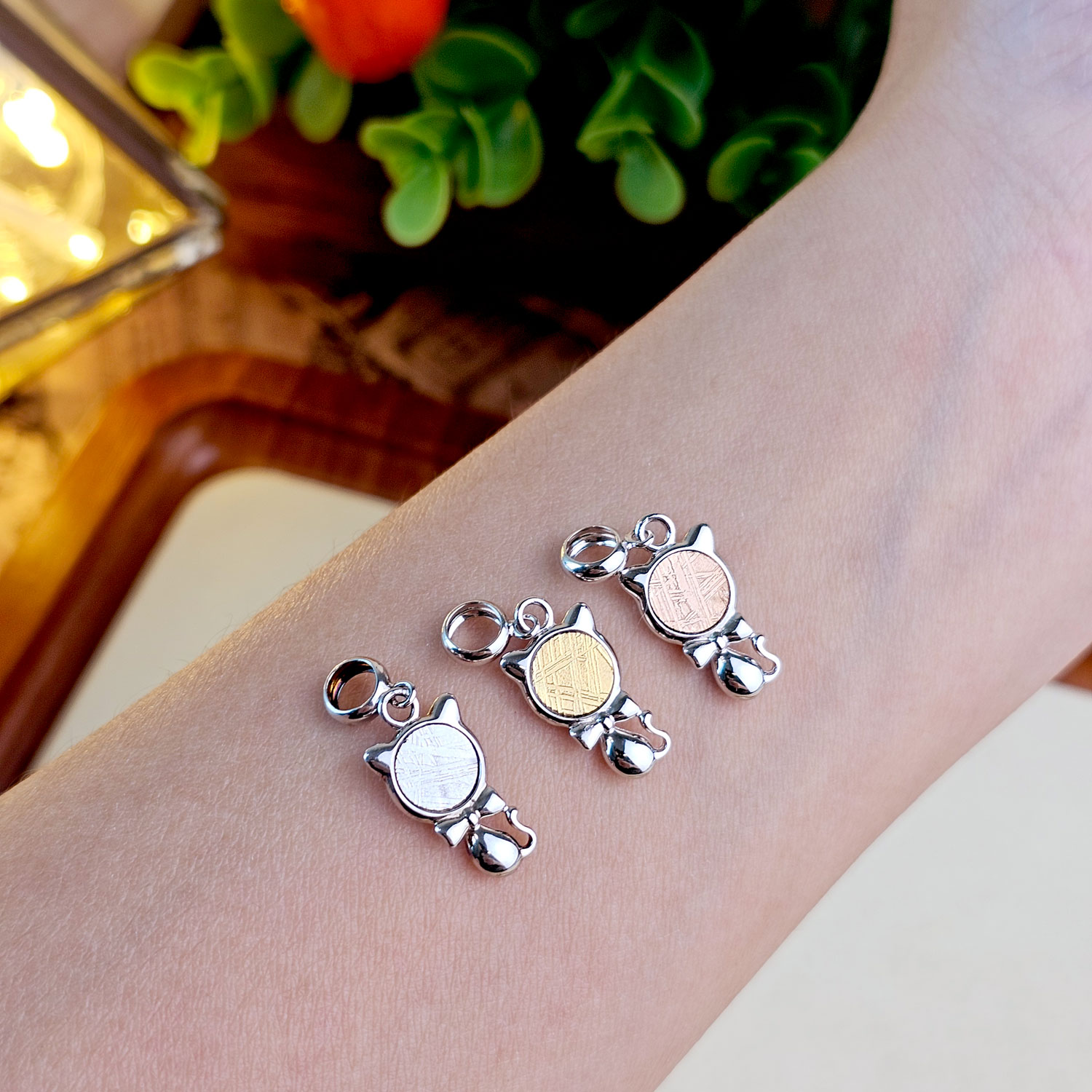 3 Feb - Meteorite Cat Charm