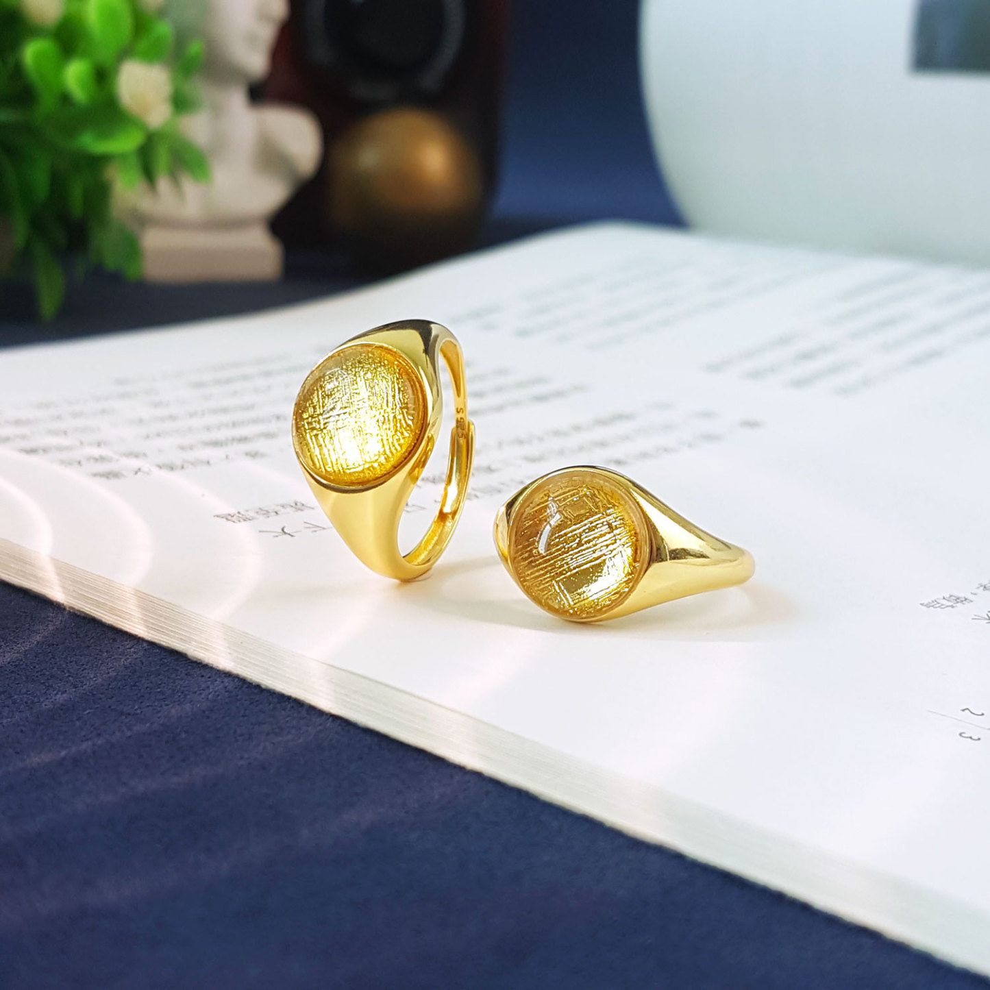 7 Sep - 10mm Gold Meteorite Round Adjustable Ring (Gold Frame)