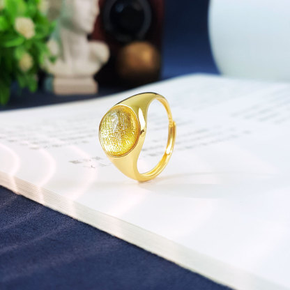 7 Sep - 10mm Gold Meteorite Round Adjustable Ring (Gold Frame)
