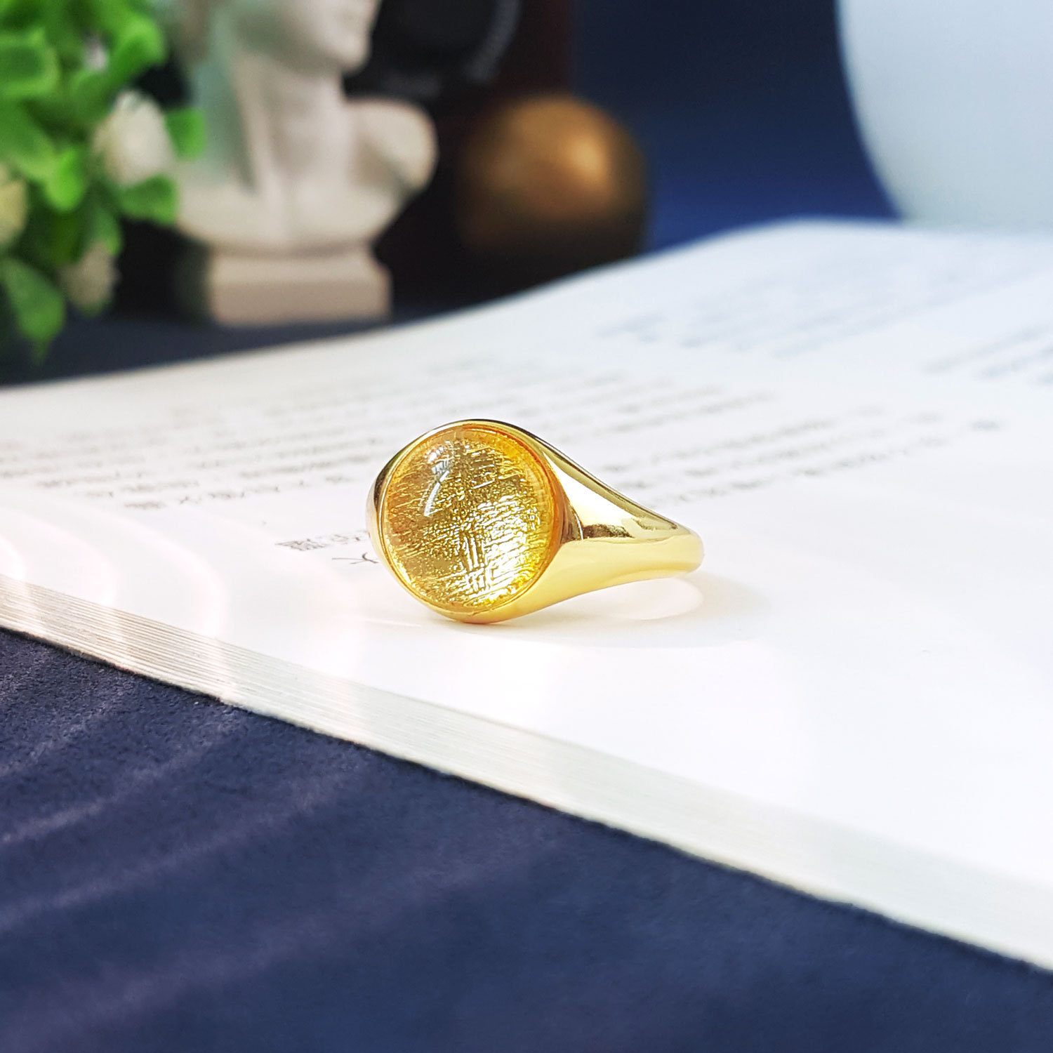 7 Sep - 10mm Gold Meteorite Round Adjustable Ring (Gold Frame)