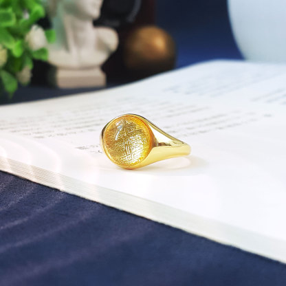 7 Sep - 10mm Gold Meteorite Round Adjustable Ring (Gold Frame)