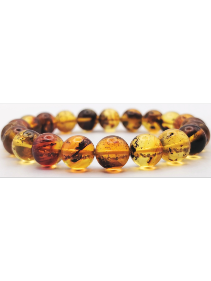 Amber Insect Bracelet