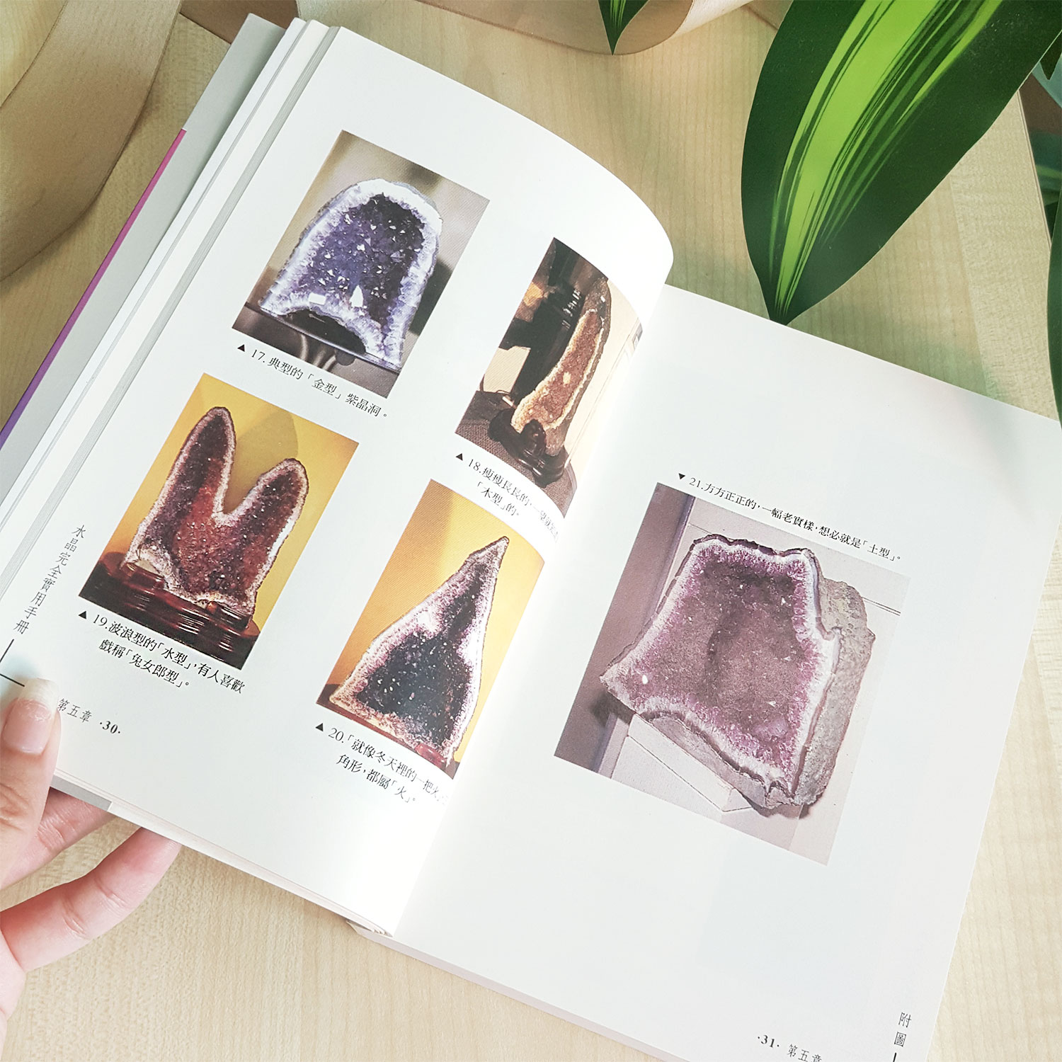 22 Jun - Crystal Dictionary Book