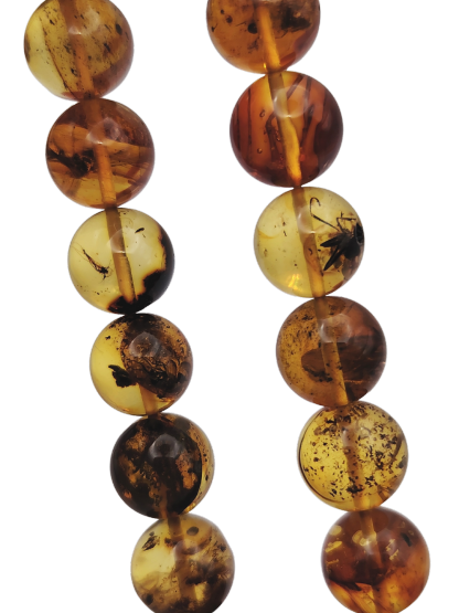 Amber Insect Bracelet