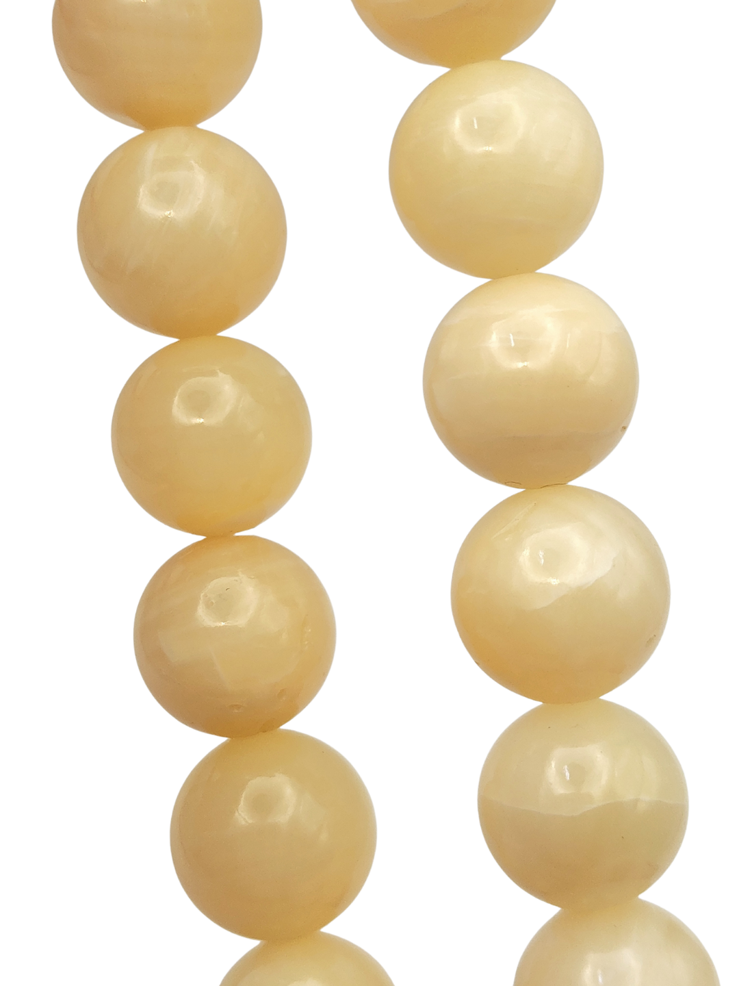 Golden Tridacna Bracelet