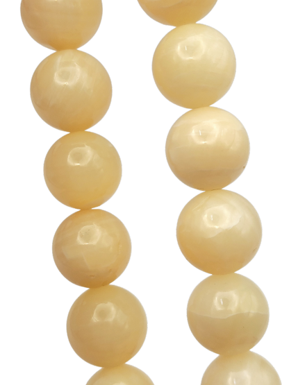 Golden Tridacna Bracelet