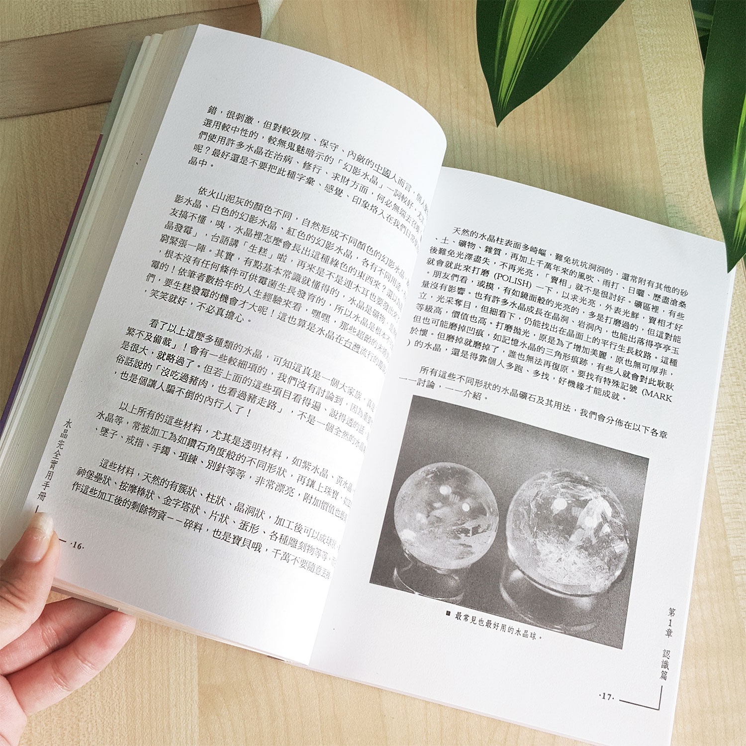 22 Jun - Crystal Dictionary Book