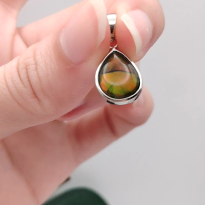 Canada Ammolite Free Shape Pendant