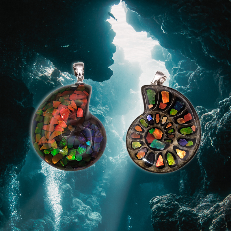 Canada Ammolite Shell Shape Stitching Pendant