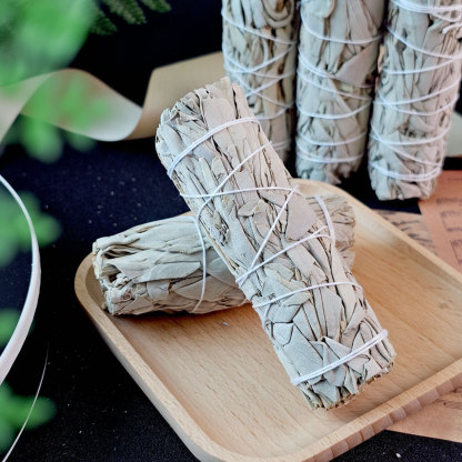 22 Jan - Sage 鼠尾草