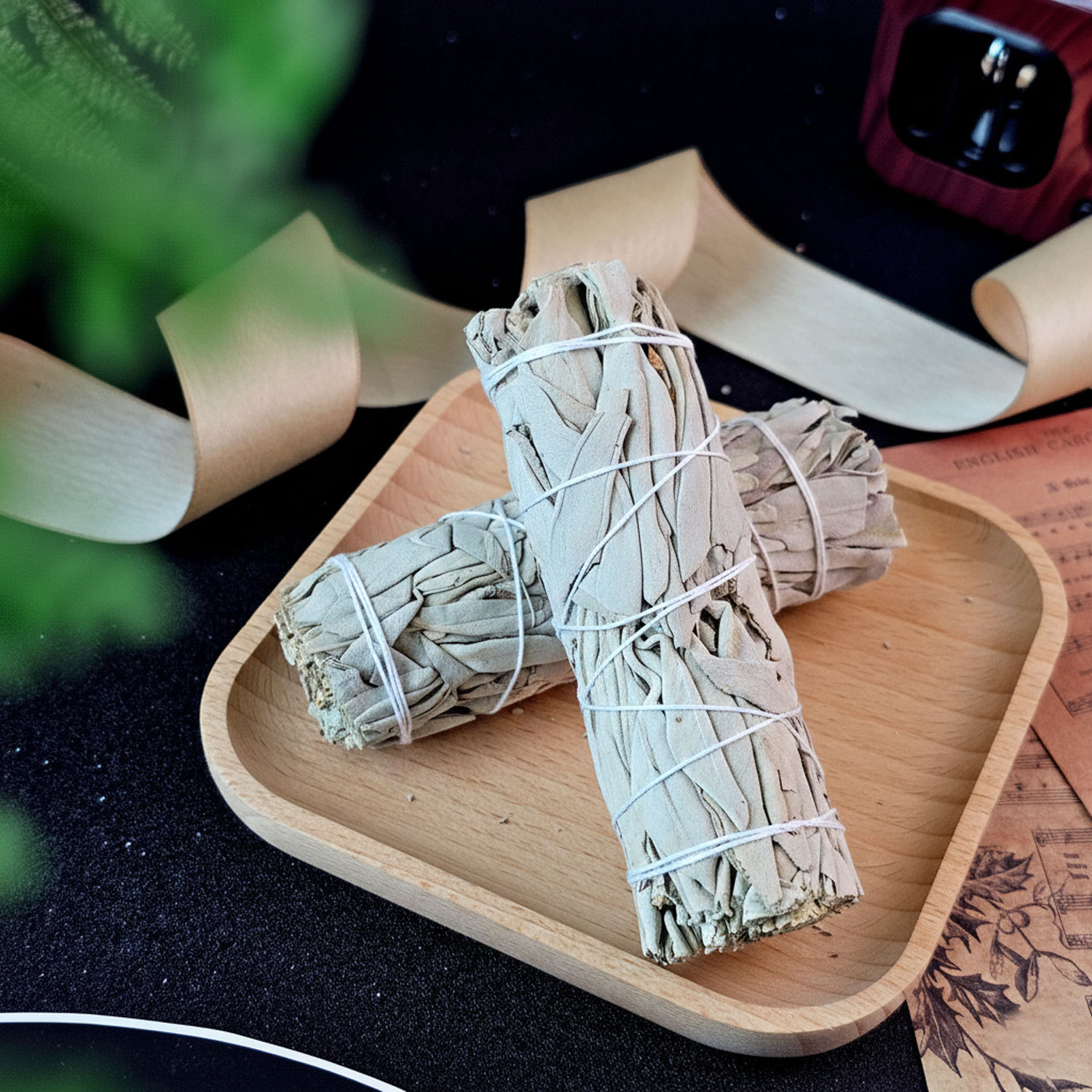 22 Jan - Sage 鼠尾草