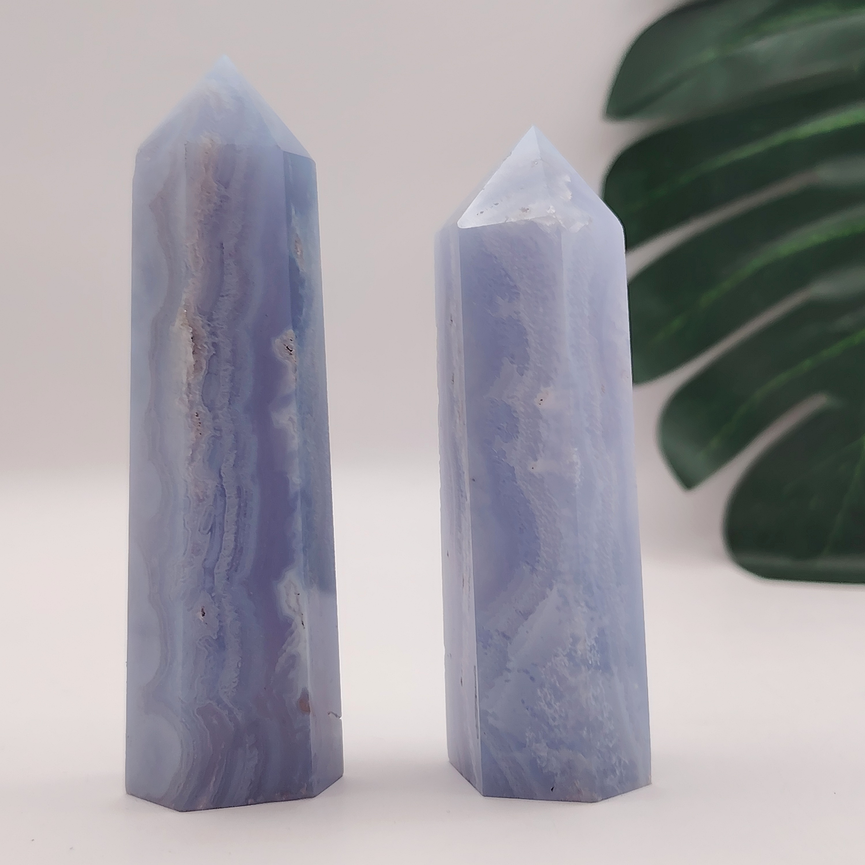 Blue Lace Point
