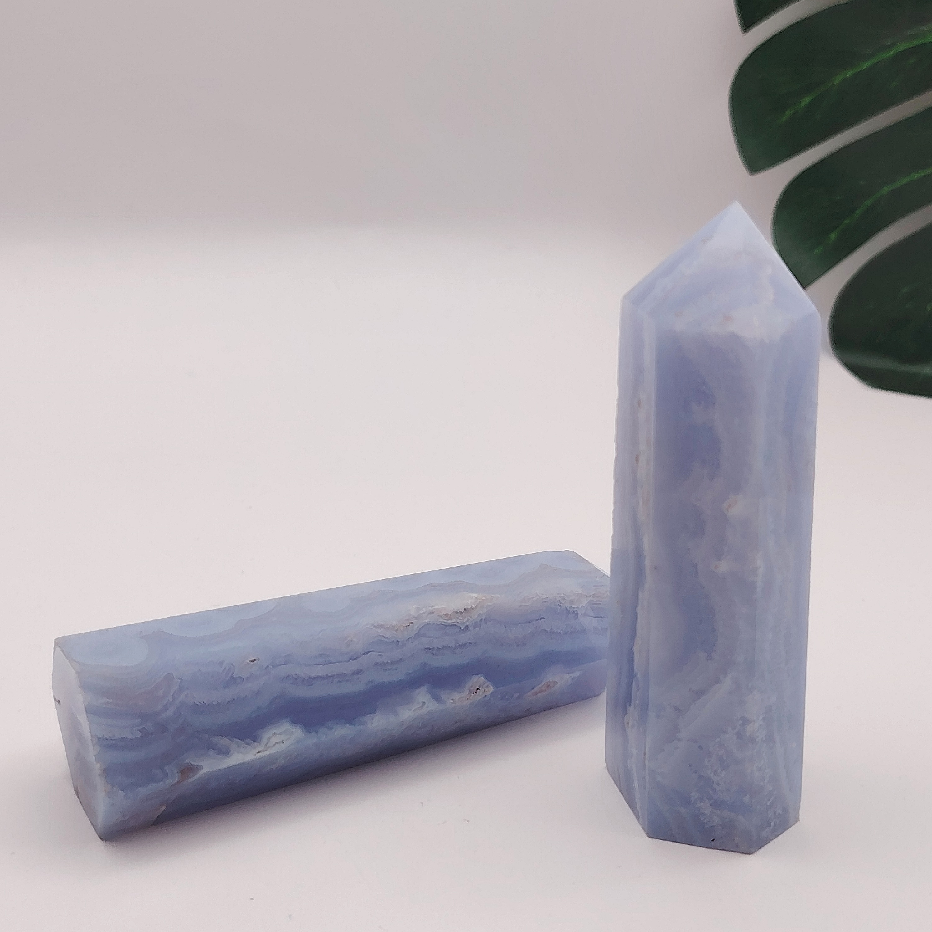 Blue Lace Point
