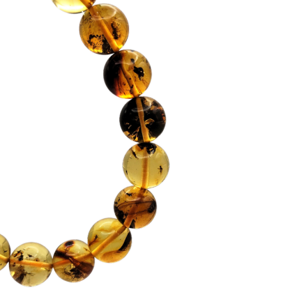 Amber Insect Bracelet