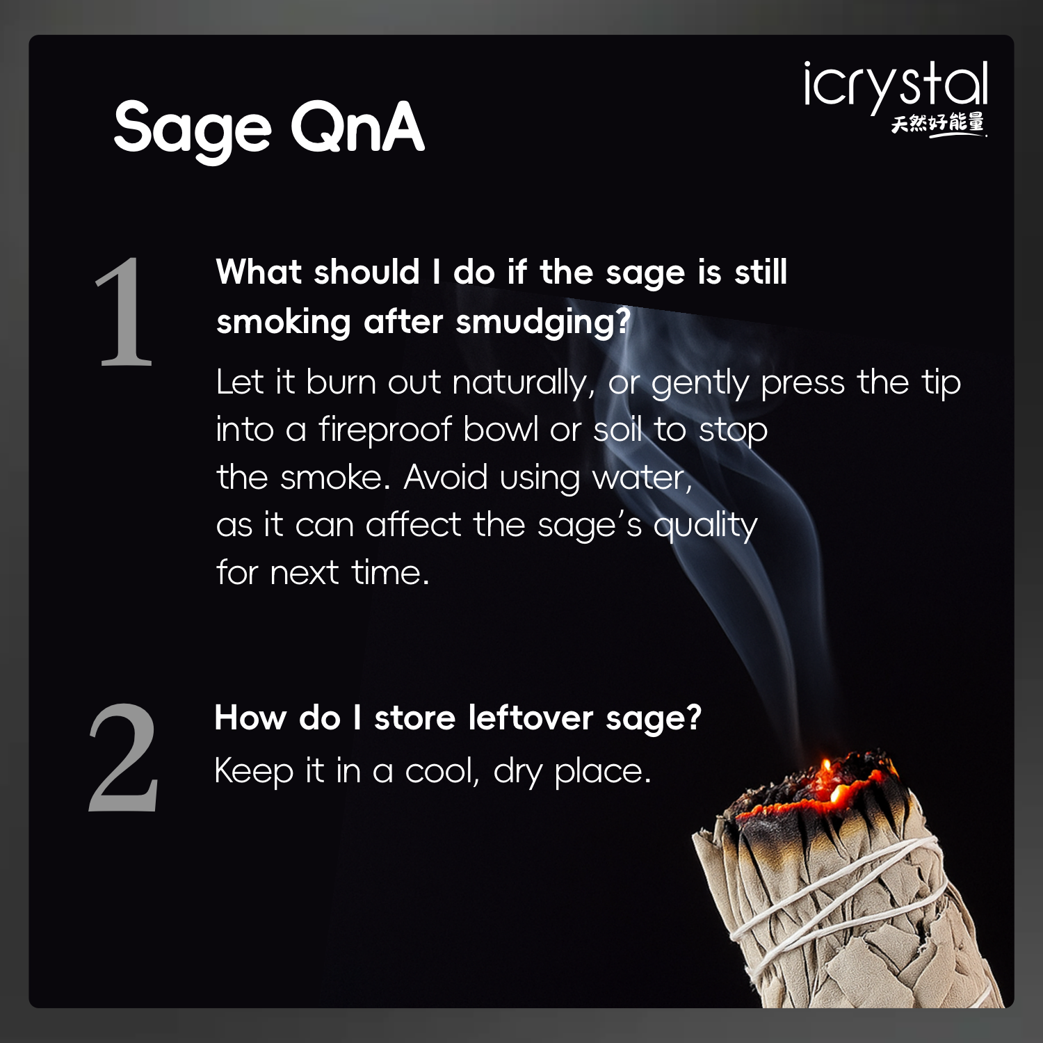 22 Jan - Sage 鼠尾草