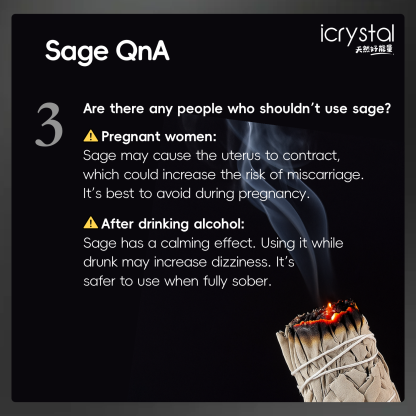 22 Jan - Sage 鼠尾草