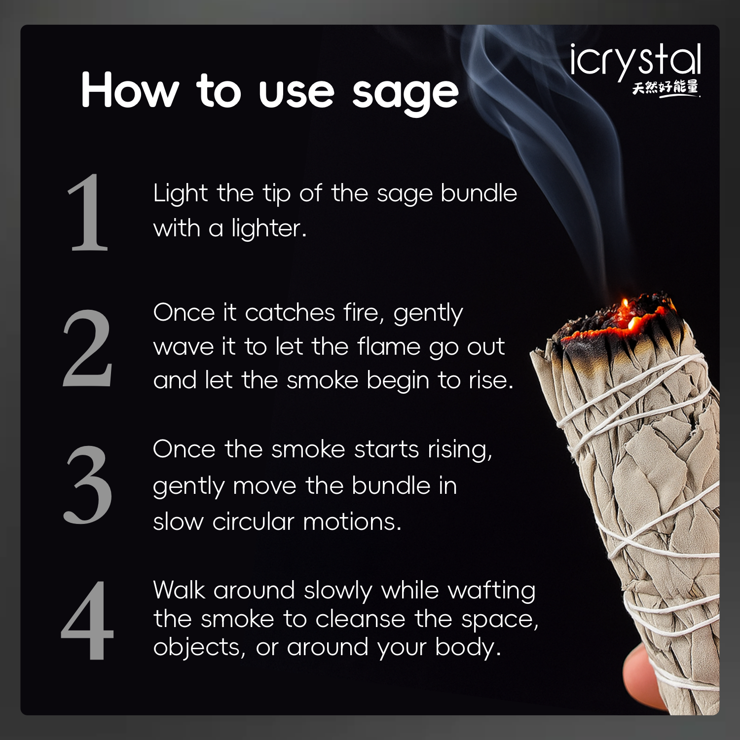 22 Jan - Sage 鼠尾草