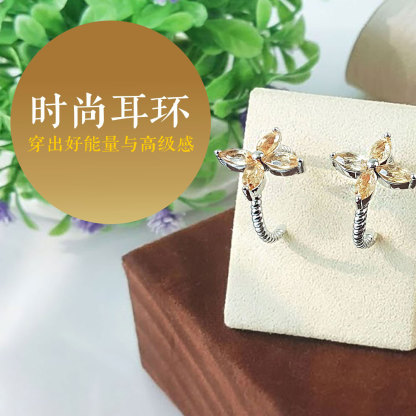 Stylish Crystal Earring