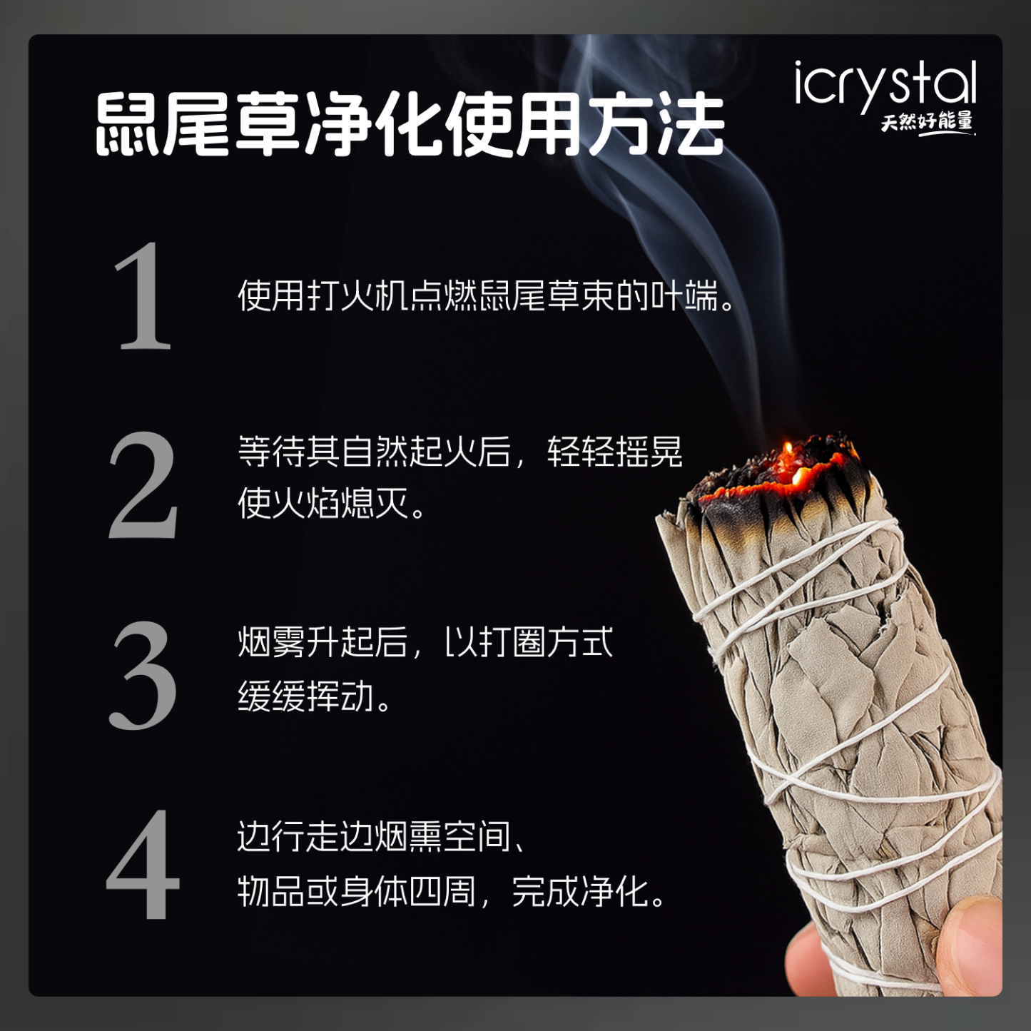 22 Jan - Sage 鼠尾草