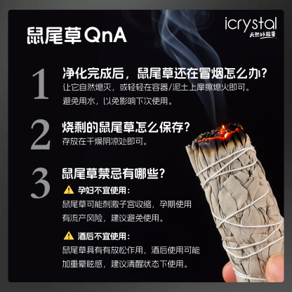 22 Jan - Sage 鼠尾草