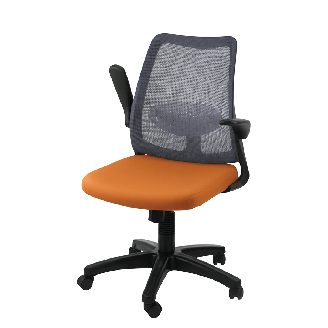 DOLPH ECO Low Back Office Chair (K)