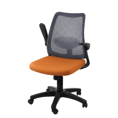DOLPH ECO Low Back Office Chair (K)