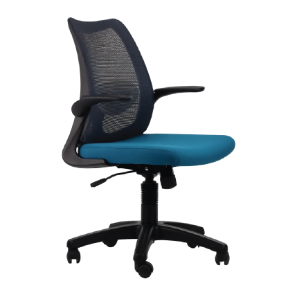 DOLPH ECO Low Back Office Chair (K)